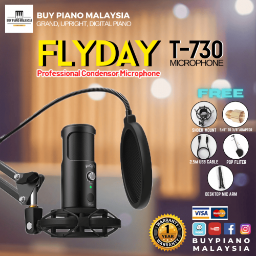 Flyday T730 (Professional Recording Gaming Microphone Set)