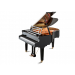 Feurich 179 Dynamic II Grand Piano