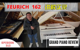 PIANO TAN维也纳讲解FEURICH 162 小钢炮三角琴❗德国百年好琴❗