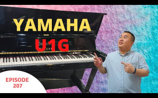Yamaha U1G Upright Piano Review 雅马哈U1G立式钢琴解说
