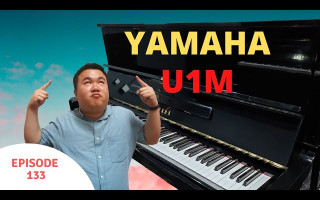 Yamaha U1M Upright Piano Review 雅马哈U1M立式钢琴解说