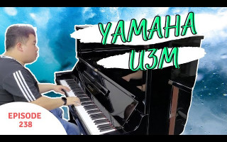 Yamaha U3M Upright Piano Review 雅马哈U3M立式钢琴解说