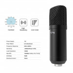 Flyday T730 (Professional Recording Gaming Microphone Set)