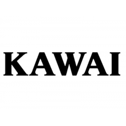 Kawai New Piano